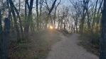 Trails through the dunes at sunset